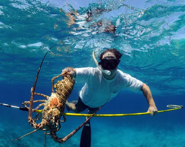 spearfishing security tips