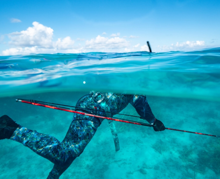 Spearfishing techniques