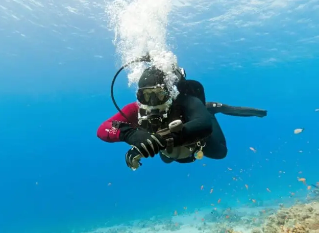 diving brain effects