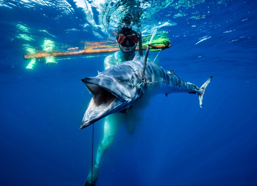 Spearfishing techniques