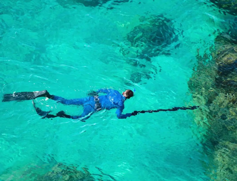 Spearfishing for beginners