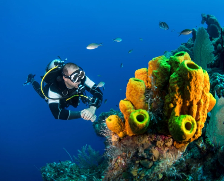 medical conditions for diving