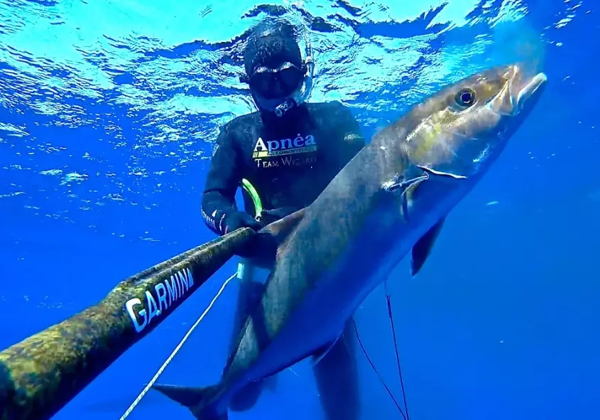 ear safety spearfishing