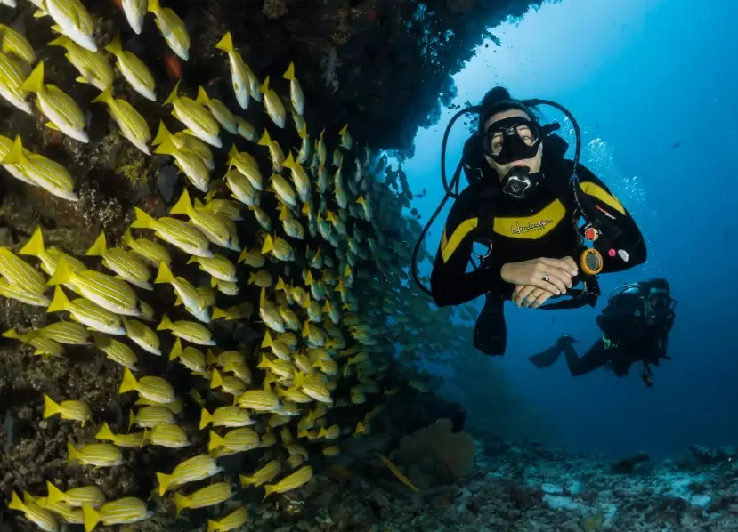 best dive sites Thailand