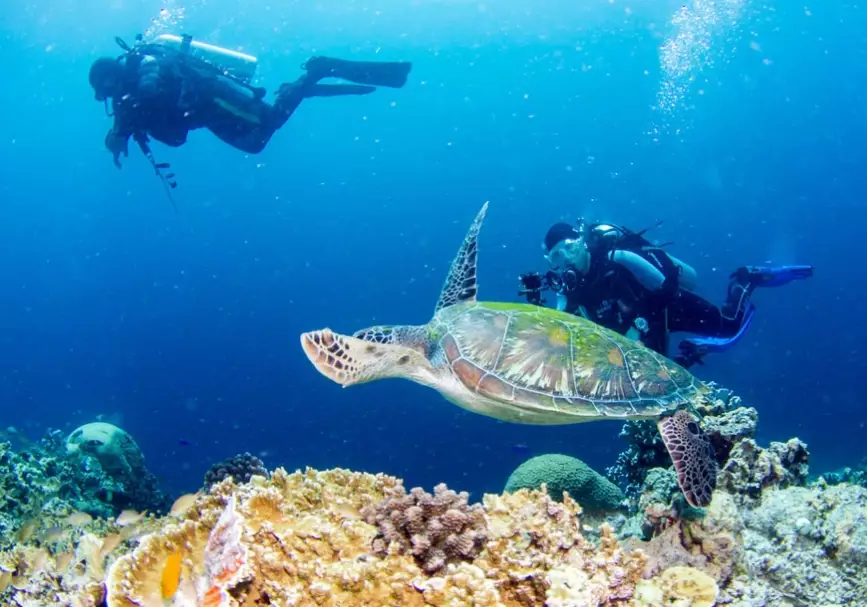 best time to dive in Philippines best time to dive in Philippines