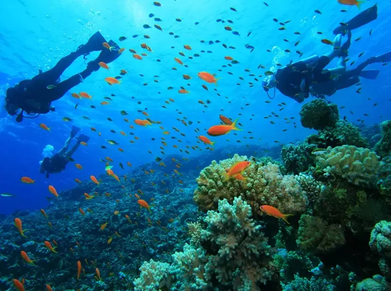 Philippines diving spots Philippines diving spots