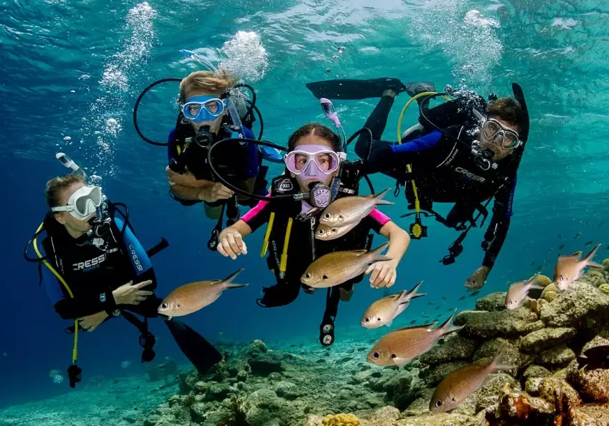 scuba diving tips for beginners