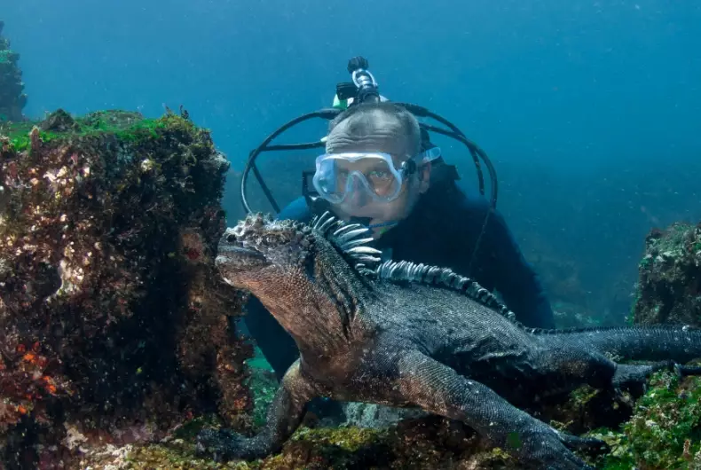 scuba diving destinations scuba diving destinations