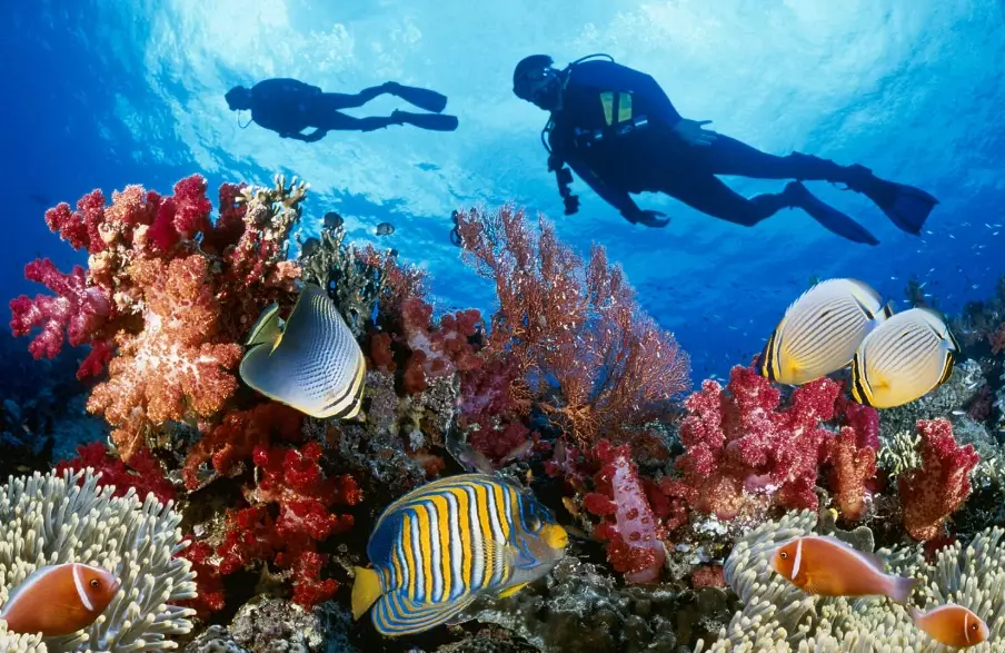 top scuba diving destinations top scuba diving destinations