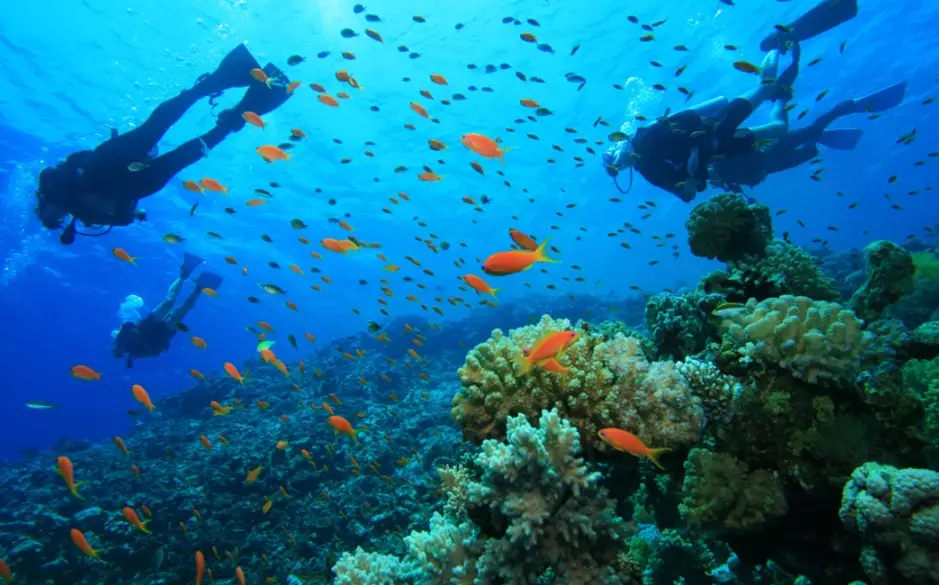top scuba diving destinations top scuba diving destinations