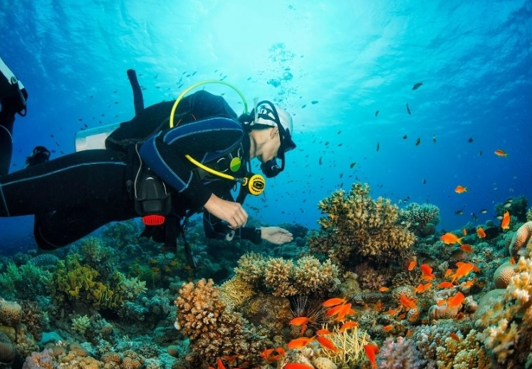 best scuba diving places in the world best scuba diving places in the world