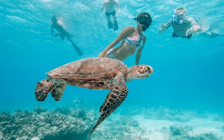 responsible wildlife tourism