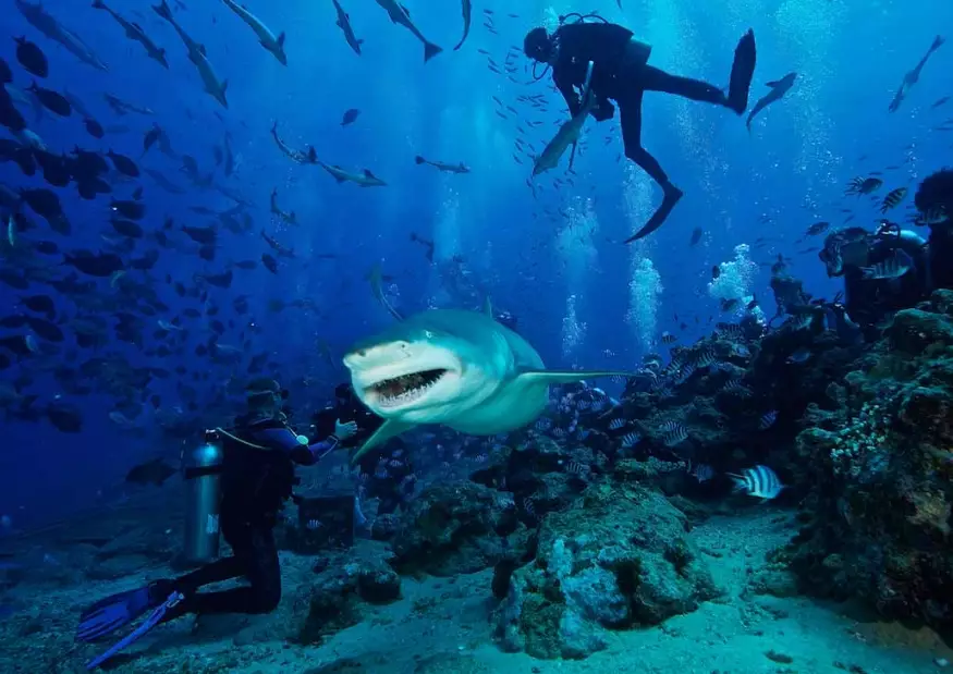 world's best dive sites world's best dive sites