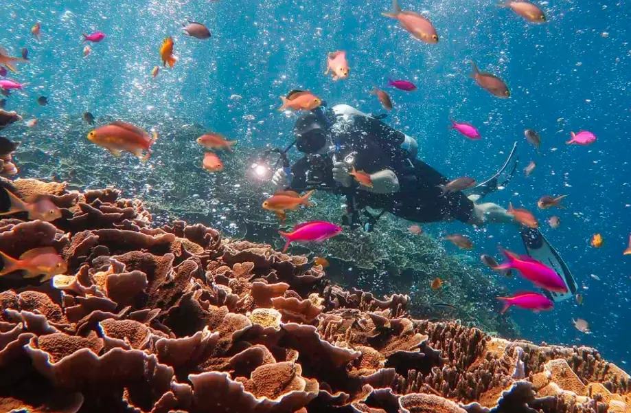 best scuba diving places in the world best scuba diving places in the world