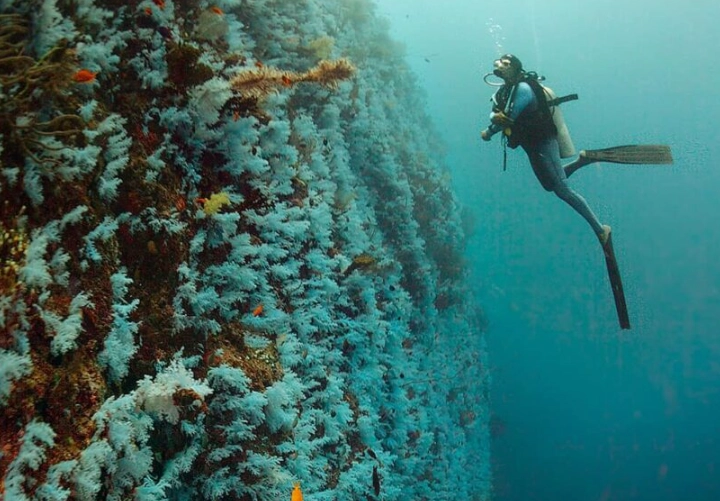 easy dive locations easy dive locations