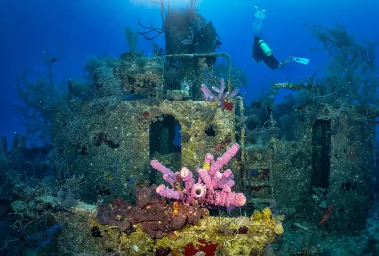 best dive sites in the world