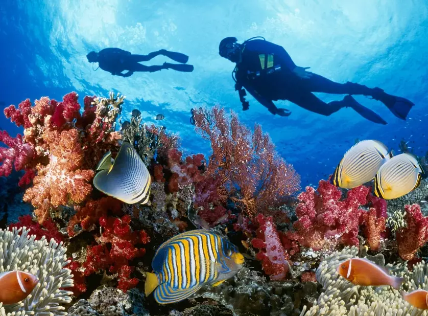 best scuba diving destinations