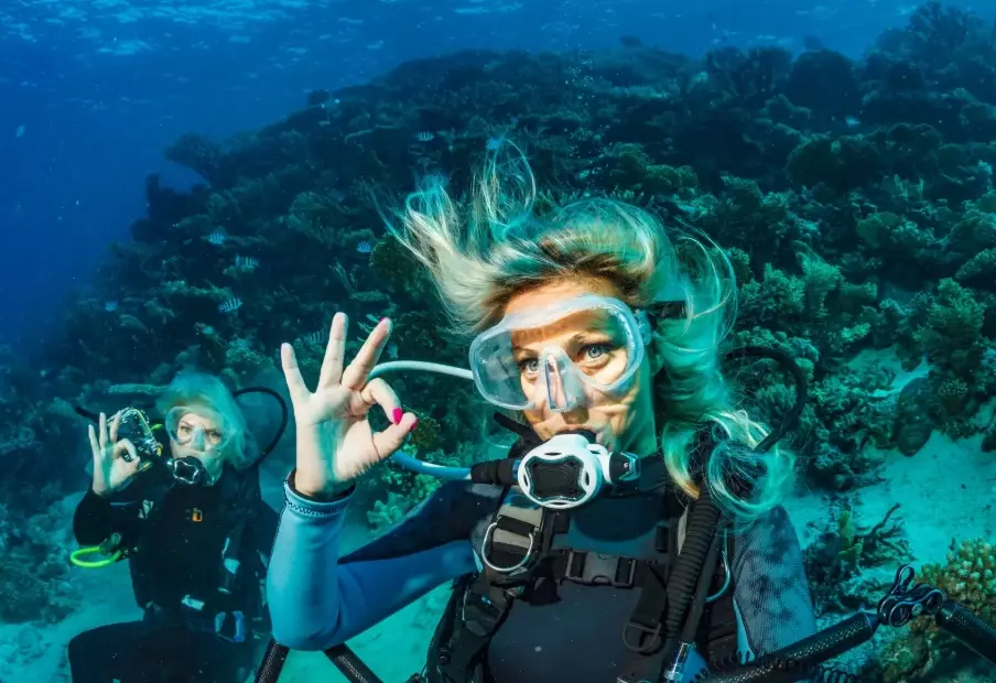 best places to dive best places to dive