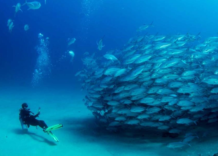 top scuba diving destinations top scuba diving destinations