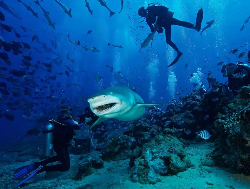 top 100 dive sites in the world