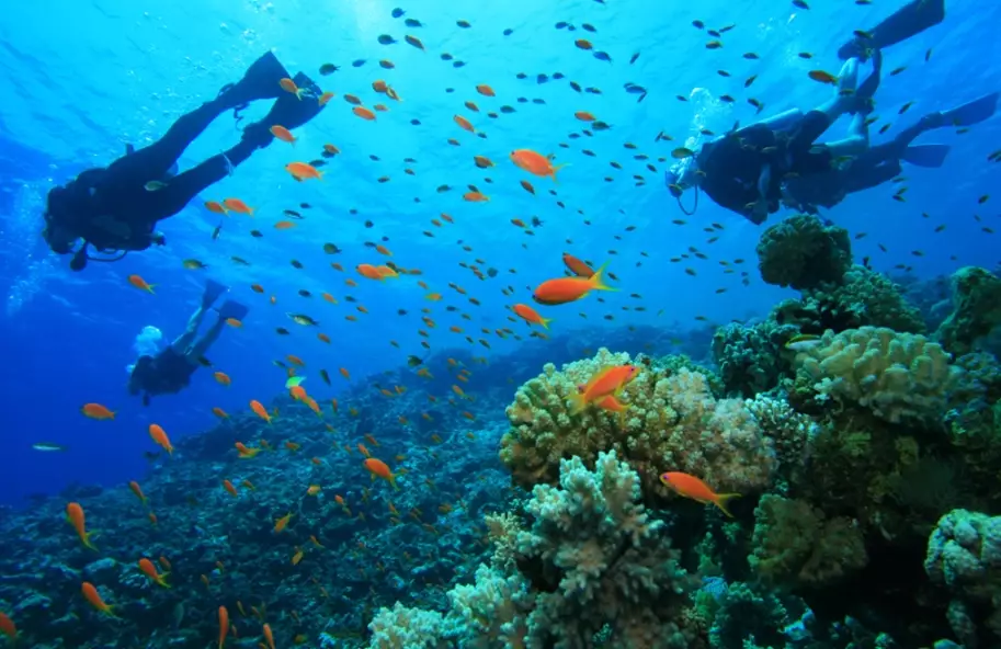 best scuba diving destinations
