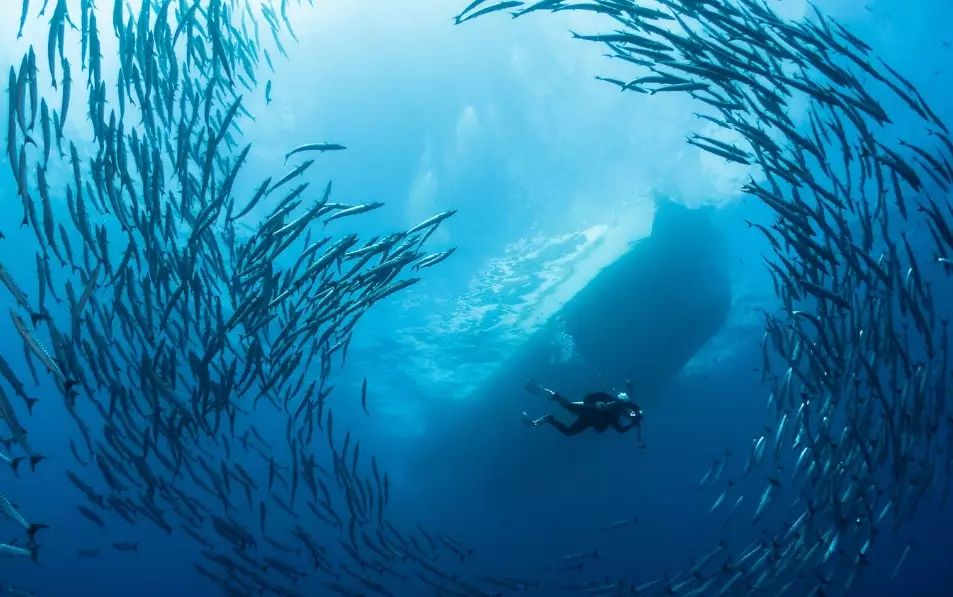 top 100 dive sites in the world