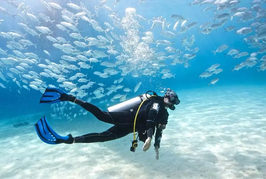 best diving in the world