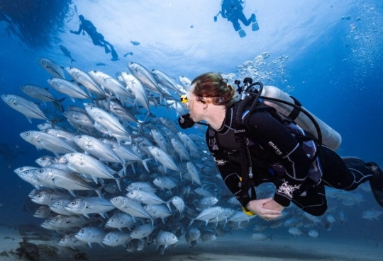 scuba diving travel insurance scuba diving travel insurance