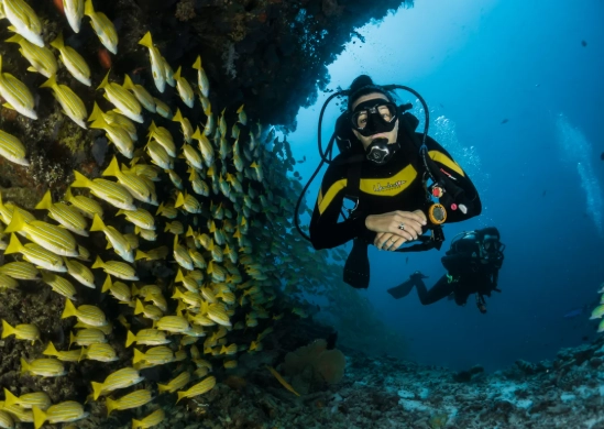 travel insurance for divers travel insurance for divers