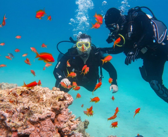 Thailand dive sites