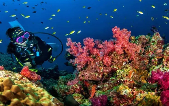 scuba diving Thailand cost
