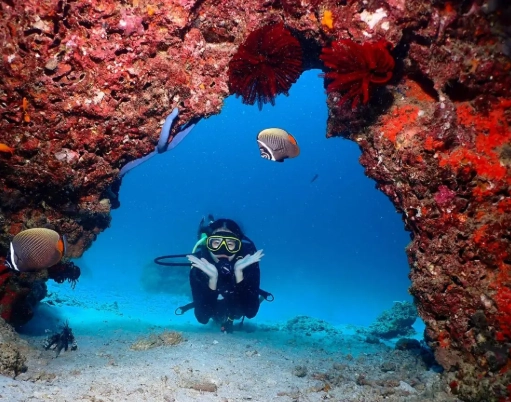 best diving Thailand