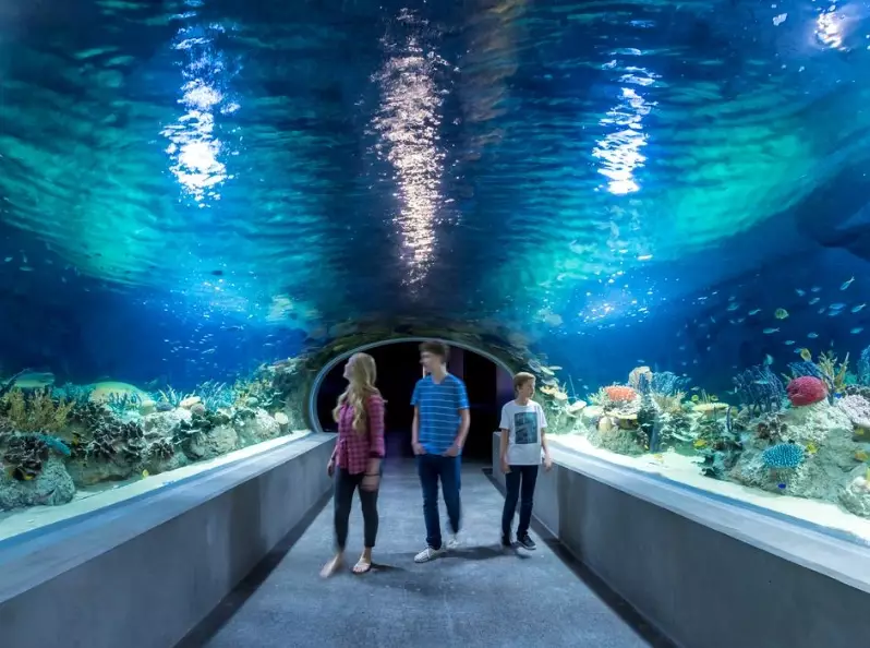 aquarium ticket cost Arizona