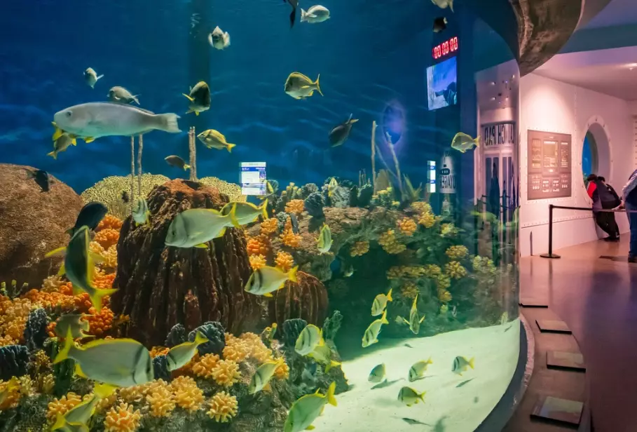 aquarium ticket cost Arizona