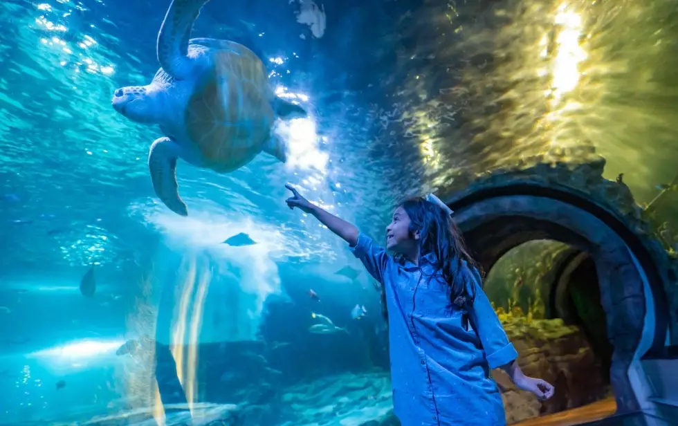 aquarium ticket cost Arizona