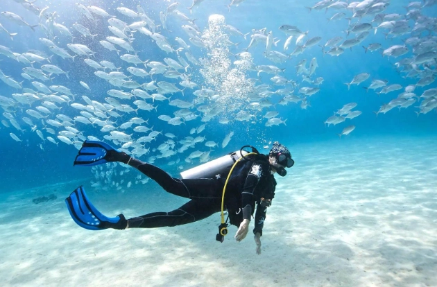 basic rules of scuba diving basic rules of scuba diving