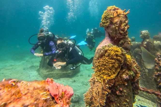 Mexico scuba diving seasons Mexico scuba diving seasons