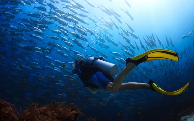 diving safety guidelines diving safety guidelines