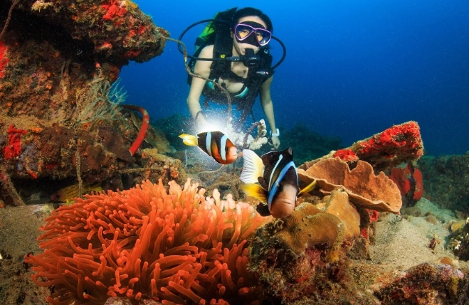 diving safety guidelines diving safety guidelines