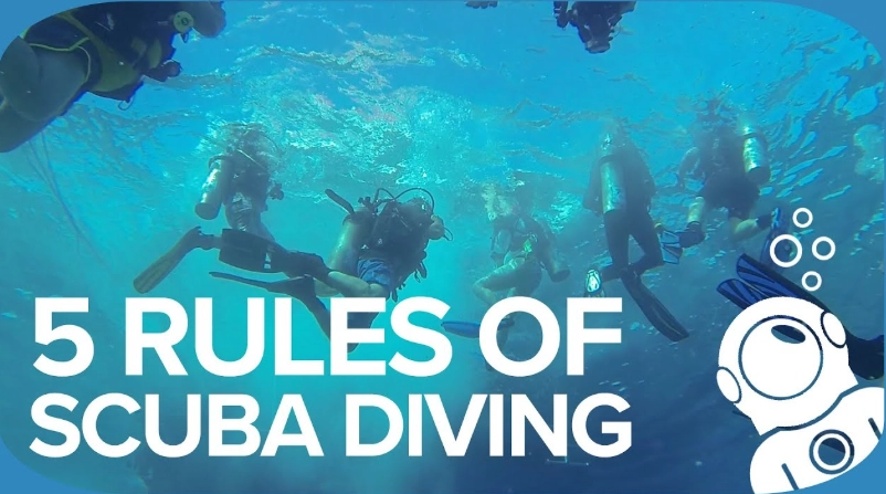 Basic rules of diving