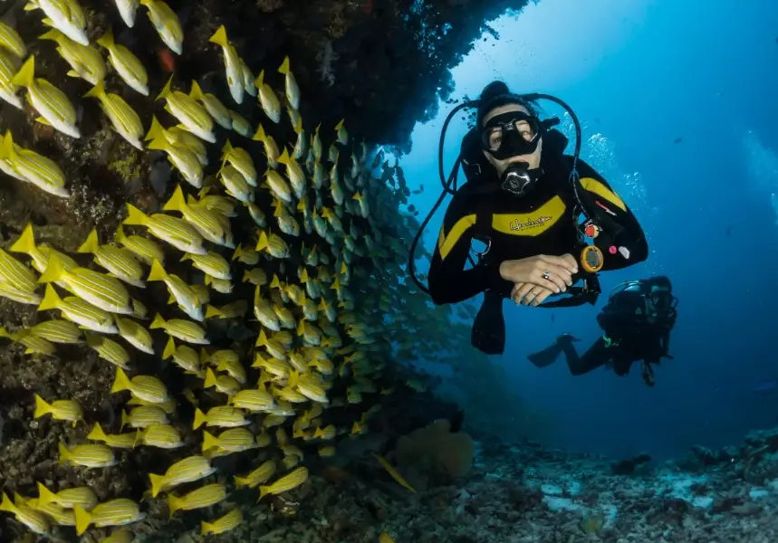 beginner scuba diving Thailand