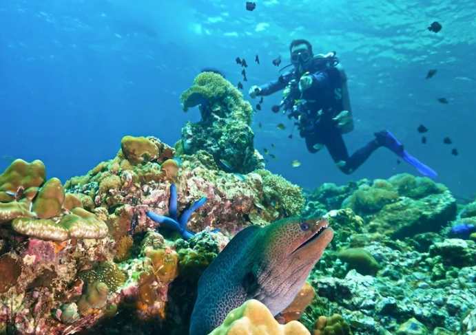 diving insurance diving insurance