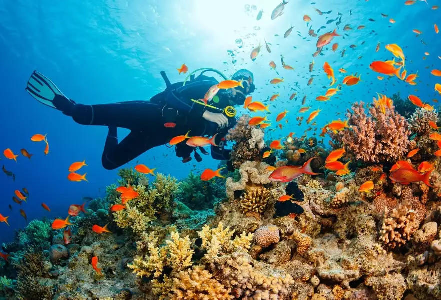 best diving in Thailand