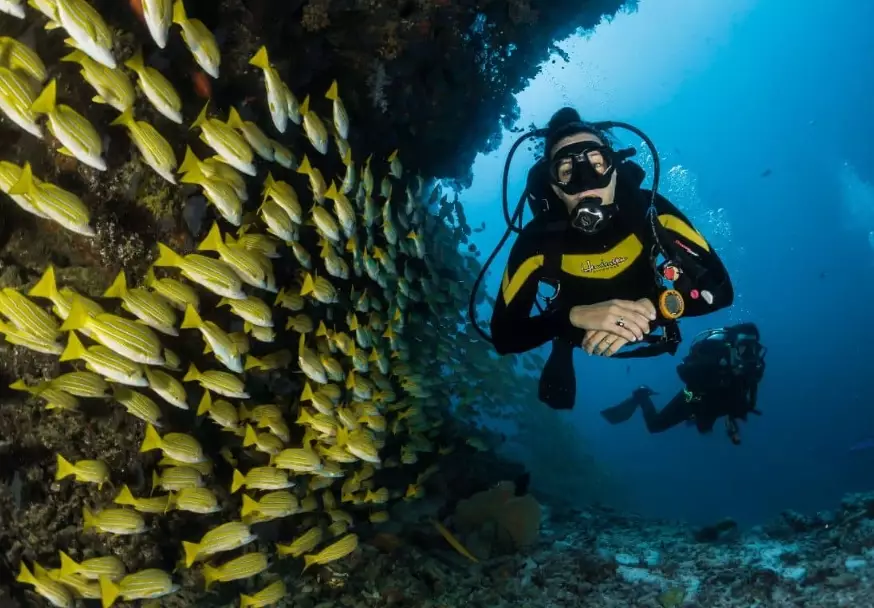 is dive insurance worth it is dive insurance worth it