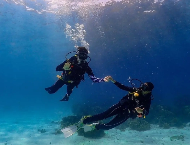 best dive sites for beginners