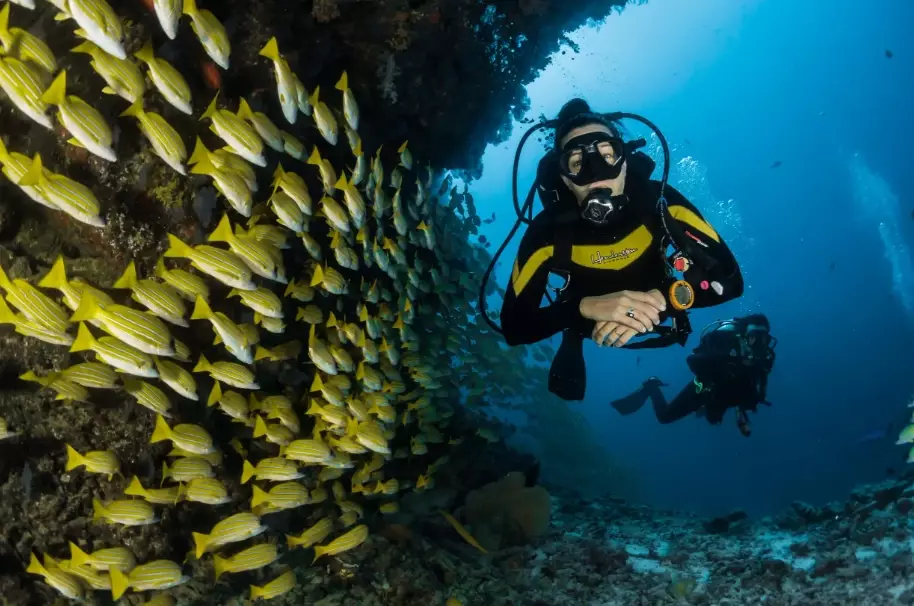 scuba diving in Thailand for beginners scuba diving in Thailand for beginners