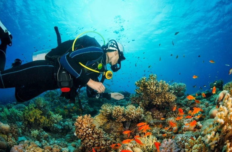 scuba diving travel guide