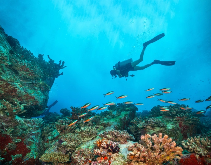 best diving for beginners Caribbean