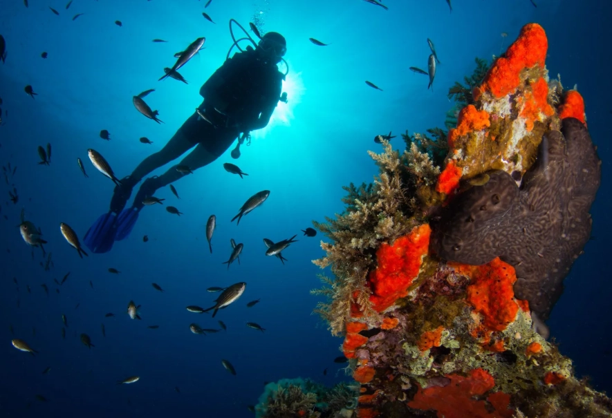 best diving in Europe