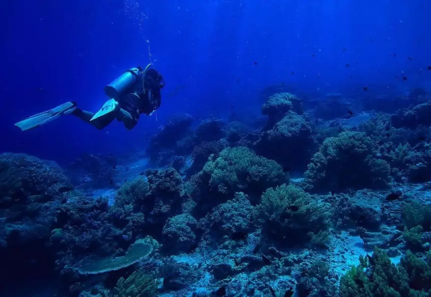 scuba diving vacations scuba diving vacations